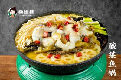 杨桂桂是什么黑马品牌？0经验的普通人也能轻松开店！